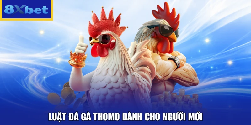 Luật đá gà Thomo dành cho người mới